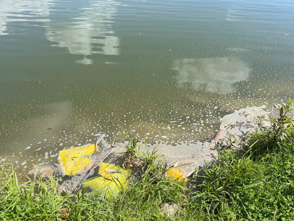 Summer algal blooms exploring water contamination environmental impact global environmental pollution problem caused by chemicals industries bad ecology polluted water